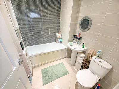 Picture 21